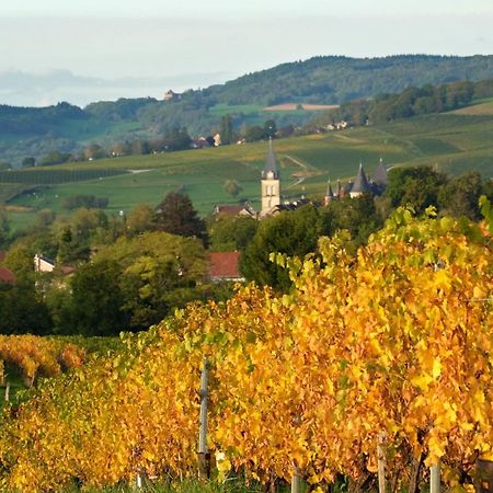 Gite Le Douglas, Vignoble Et Reculees Du Jura - Avec Sauna Lavigny Экстерьер фото