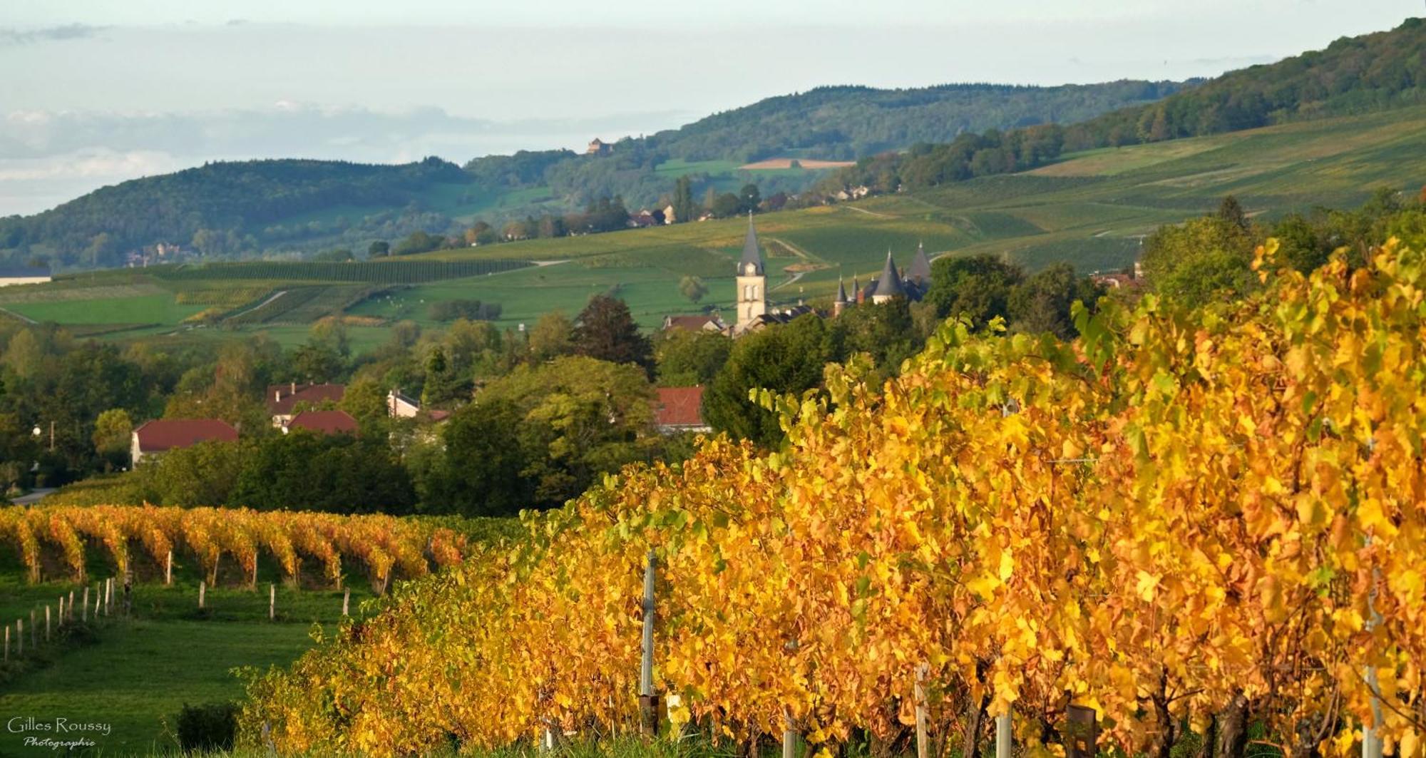 Gite Le Douglas, Vignoble Et Reculees Du Jura - Avec Sauna Lavigny Экстерьер фото